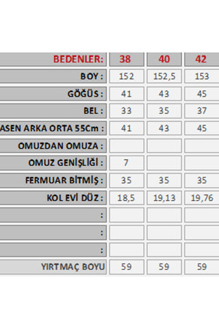 Saten Fiyonklu Eteği Yırtmaçlı Kadife Kadın Silvera Elbise